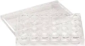 ZORO SELECT 667123 24 Well Tissue Culture Plate w/Lid,PK50 (Formerly Lab Safety