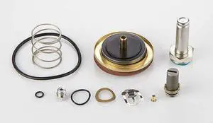 ASCO 310416 Rebuild Kit