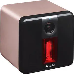 Petcube - Play Indoor 1080p Wi-Fi Camera - Rose Gold
