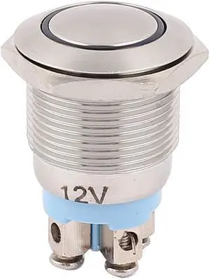 DC 12V Blue LED Light 19mm 4Pins DPST Ball Head Momentary Push Button Switch