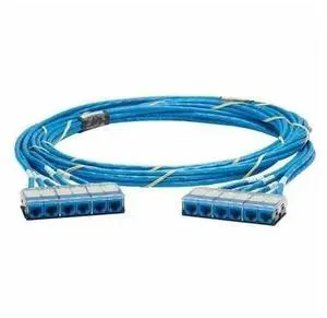 Panduit CAT6A UTP Riser Cassette Copper Cable Blue 35ft / 10.66 M QZRBCCB0001F035