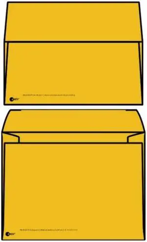 eKEY Multimedia Mailer Envelopes, 6" x 8" Roptex eKEY Multimedia Mailer, Outer Envelope with Open Side, CD / DVD Insert (Box of 500)