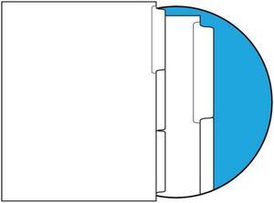 90#, 1/3 Cut, Blank Indexes, Clear Copier Mylar on Tab Area, Straight Collated (Forward) (Carton of 1260 Tabs)
