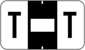 Jeter 0200 Compatible "T" Labels, Laminated Stock, 15/16" X 1-5/8" Individual Letters - Roll of 500