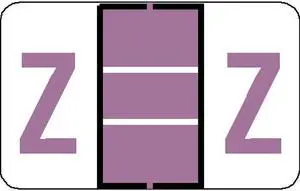 Jeter 5100 Compatible "Z" Labels, Laminated Stock, 15/16" X 1-5/8" Individual Letters - Roll of 500