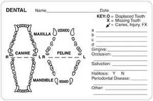 Dental Grid Canine/Feline 4" x 2-5/8" White Label (Roll of 240)