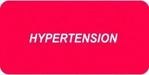 Chart Labels, HYPERTENSION -  Red 2" X 1" (Pack of 252)