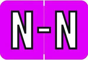 Barkley ACPM Compatible "N" Labels, Laminated Stock, 1" X 1-1/2" Individual Letters - Roll of 500