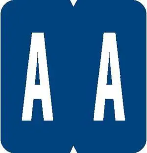 GBS Compatible "A" Labels, Laminated Stock, 1-5/16" X 1-1/4" Individual Letters - Pack of 200