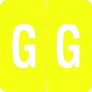 Barkley ADPK Compatible "G" Labels, Laminated Stock, 1-1/2" X 1-1/2" Individual Letters - Pack of 228