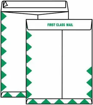 Open End First Class Tyvek Catalog Envelopes, 10" x 13", 14#, 'First Class Mail' on Face and Flap (Box of 100)