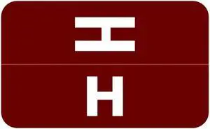 Smead Compatible "H" Labels, Polylaminated Stock, 1" X 1-5/8" Individual Letters - Rolls of 250
