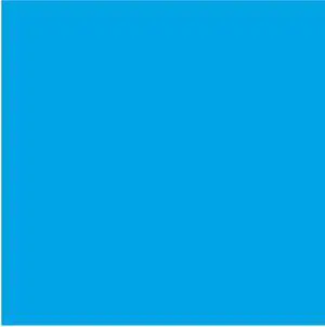 Ames Compatible Solid Blue Labels, Laminated Stock, 1-7/8" X 1-7/8" Individual Colors - Roll of 500