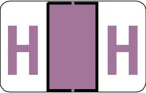 Tab Compatible "H" Labels, Vinyl Stock, 1" X 1.25" Individual Letters - Roll of 500
