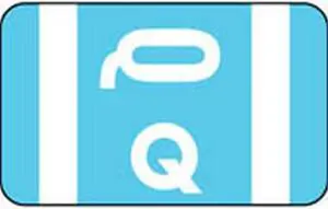 Smead Compatible "Q" Labels, Polylaminated Stock, 1" X 1-5/8" Individual Letters - 100 per Pack