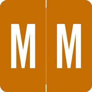 Barkley ADPK Compatible "M" Labels, Laminated Stock, 1-1/2" X 1-1/2" Individual Letters - Pack of 228