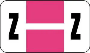 Safeguard Compatible "Z" Labels, Laminated Stock, 15/16" X 1-5/8" Individual Letters - Pack of 240
