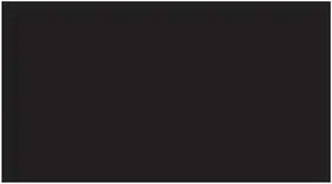 3" x 9" Black Rectangle labels (500 per Roll)