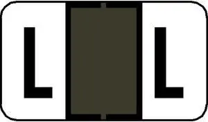 Jeter 7200 Compatible "L" Labels, Laminated Stock, 15/16" X 1-5/8", Individual Letters - Pack of 225