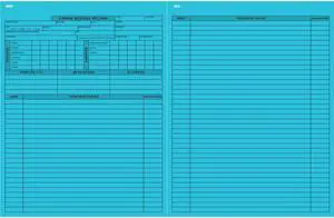 Pet Medical Record Form - Canine, Blue 8-1/2" x 11" (Pkg of 250)