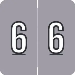 Barkley FNDBM Compatible  "6" Numeric Labels, Laminated Stock, 1-1/2" x 1-1/2" Individual Numbers - Roll of 500