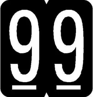 GBS Compatible Numeric "9" Labels, Laminated Stock, 1-5/16" X 1-1/4" Individual Numbers - Roll of 500
