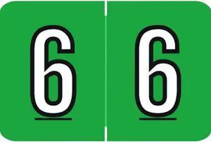 Barkley NCPM Compatible Numeric "6" Labels, Laminated Stock, 1" X 1-1/2" Individual Numbers - Roll of 500