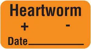 Heartworm + - Date 1-5/8" x 7/8" Fl-Orange Label (Roll of 560)