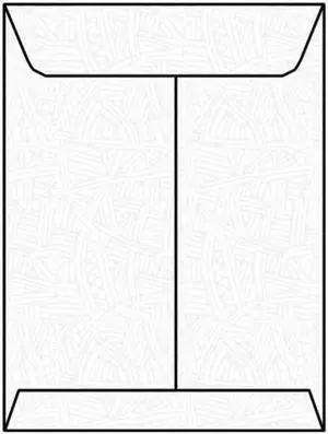 Open End Catalog Envelopes, 9" x 12", 28#, Black Wesco Security Tint, White, No Window, Remoistening Seal (Box of 500)