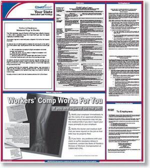 ComplyRight Connecticut State Labor Law Poster, 24" x 27", Laminated, (Hotel) - 1 per Pack