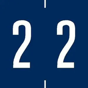 Ames Compatible "2" Numeric Labels, Laminated Stock, 1-7/8" X 1-7/8" Individual Numbers - Roll of 500