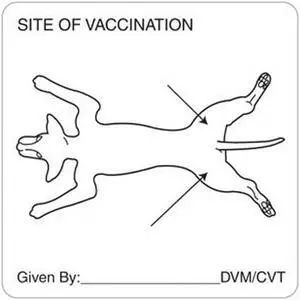 Vaccination Canine 2-1/2" x 2-1/2" White Label (Roll of 320)