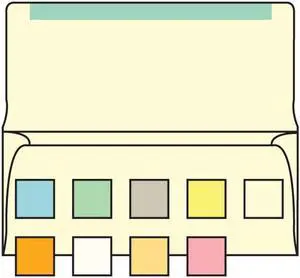 #6-3/4 Collection/Remittance Envelopes 3-5/8" x 6-1/2" 24# Creme Pastel, Open Side, Flaps Extended (Box of 500)