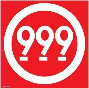 4" x 4"  "999" labels (500 per Roll)