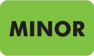 Chart Labels, MINOR - Fl Green, 1-1/2" X 7/8" (Roll of 250)