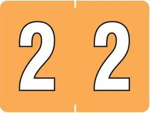 Tab Compatible Mini Numeric "2" Labels, Vinyl Kimdura Stock, 1/2" X 1" Individual Numbers - Roll of 500