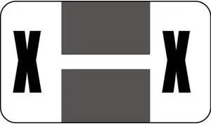 Safeguard Compatible "X" Labels, Laminated Stock, 15/16" X 1-5/8" Individual Letters - Pack of 240