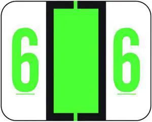 File Doctor Compatible  "6" Numeric Labels, Laminated Stock, 1-1/4" x 1" Individual Numbers - Roll of 500