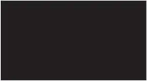 2" x 4" Black Rectangle Labels (500 per Roll)
