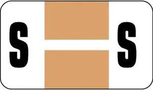 Safeguard Compatible "S" Labels, Laminated Stock, 15/16" X 1-5/8" Individual Letters - Pack of 240
