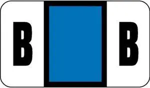 Safeguard Compatible "B" Labels, Laminated Stock, 15/16" X 1-5/8" Individual Letters - Pack of 240