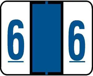 Jeter 6100 Compatible Numeric "6" Labels, Laminated Stock, 15/16" X 1-5/8" Individual Numbers - Roll of 500