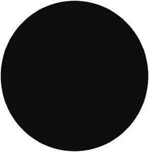 4" Diameter Black Circle Labels (500 per Roll)
