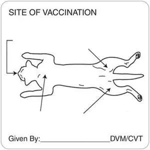 Vaccination Feline 2-1/2" x 2-1/2" White Label (Roll of 320)