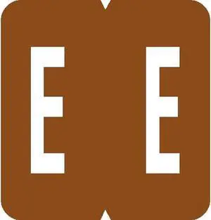 GBS Compatible "E" Labels, Laminated Stock, 1-5/16" X 1-1/4" Individual Letters - Pack of 200