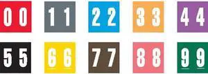 Ames Compatible Numeric Labels, Laminated Stock, 1-7/8" X 1-7/8", Starter Set - 10 Rolls of 500