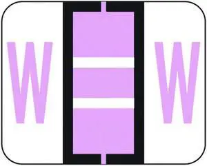 File Doctor FDAV Compatible Alpha Labels "W", Vinyl Stock, 1-1/4" X 1". Rolls of 500