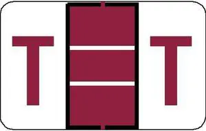 Jeter 5100 Compatible "T" Labels, Laminated Stock, 15/16" X 1-5/8" Individual Letters - Roll of 500