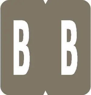 GBS Compatible "B" Labels, Laminated Stock, 1-5/16" X 1-1/4" Individual Letters - Rolls of 550