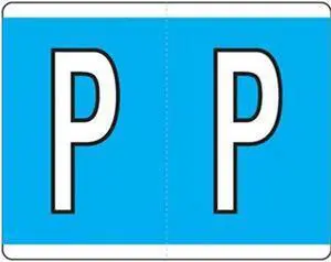 Kardex Compatible "P" Labels, Laminated Stock, 1-1/4" X 1-19/32" Individual Letters - Roll of 500